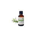 Huile essentielle eucalyptus radiata bio - 10ml - BONESCIENT - Good marché