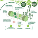 Bloc wc 2 recharges bio - 2 blocs - ARCY VERT - Good marché